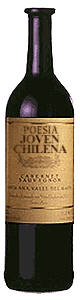 Poesia joven chilena